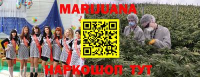 гидра Жуковский