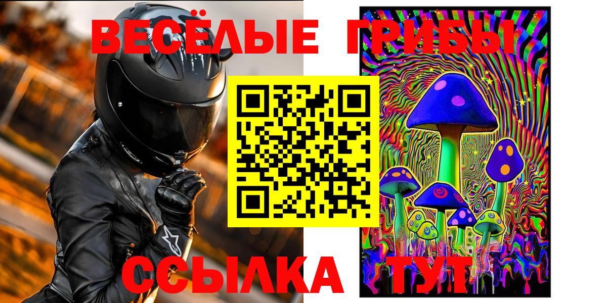 Псилоцибиновые грибы GOLDEN TEACHER  Вход с VPN  Магнитогорск 